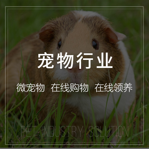 福建ERP进销存系统的成本效益分析